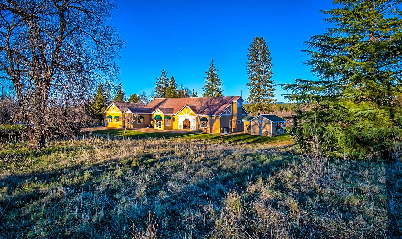 29099 Doveweed Way - Photo 1
