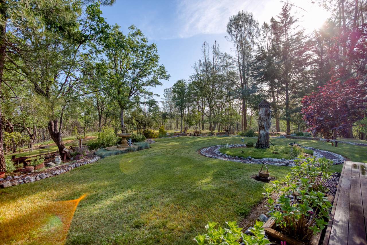 6695 Dixieland Ln - Photo 1