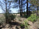  W Ponderosa Dr - Photo 2