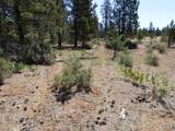  W Ponderosa Dr - Photo 4
