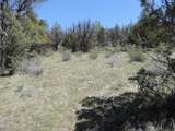 Lot 48 Natchez Court - Photo 11
