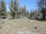 Lot 48 Natchez Court - Photo 9