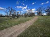  Swede Creek Road - Photo 11
