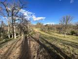  Swede Creek Road - Photo 12