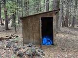 10380 Ritts Mill Rd - Photo 8