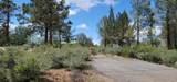 Lot 11 Cassel Fall River Road - Photo 1