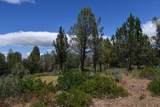 Lot 11 Cassel Fall River Road - Photo 11