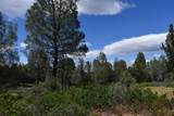Lot 11 Cassel Fall River Road - Photo 12