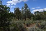 Lot 11 Cassel Fall River Road - Photo 16