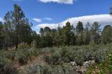Lot 11 Cassel Fall River Road - Photo 17