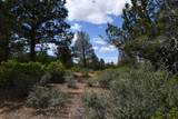Lot 11 Cassel Fall River Road - Photo 5