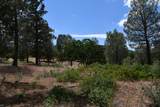 Lot 11 Cassel Fall River Road - Photo 7
