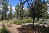 Lot 11 Cassel Fall River Road - Photo 9