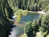 XXXX Pondosa Rd. - Photo 12