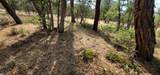  Lot 32 Shoshoni Loop - Photo 3