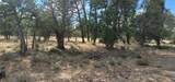  Lot 32 Shoshoni Loop - Photo 6