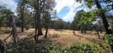  Lot 32 Shoshoni Loop - Photo 7