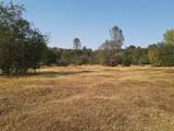  Old Oregon Trail - Photo 12