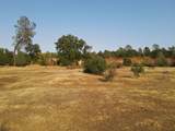  Old Oregon Trail - Photo 30