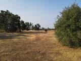  Old Oregon Trail - Photo 35