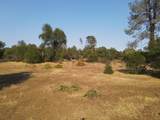  Old Oregon Trail - Photo 36