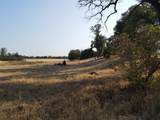  Old Oregon Trail - Photo 43