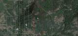  40 Acres - Photo 5