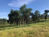  Zogg Mine Rd - Photo 25