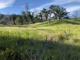  Zogg Mine Rd - Photo 33