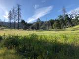  Zogg Mine Rd - Photo 34