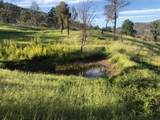  Zogg Mine Rd - Photo 38