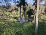  Zogg Mine Rd - Photo 39