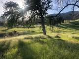  Zogg Mine Rd - Photo 40