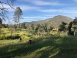  Zogg Mine Rd - Photo 42