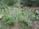 13387 Circle Drive - Photo 72