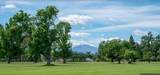 20350 Hole in One Dr - Photo 31