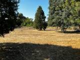 20450 Terry Ln. - Photo 9
