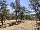 22149 River View Drive - Photo 8