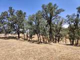 22149 River View Drive - Photo 9