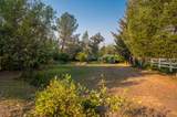 20651 Old 44 Drive - Photo 31