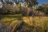 20651 Old 44 Drive - Photo 52