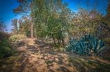 20651 Old 44 Drive - Photo 53