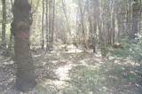 30 Suzy Q Rd - Photo 6