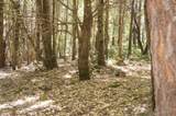 800 Suzy Q Rd - Photo 2