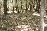 800 Suzy Q Rd - Photo 3