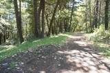 800 Suzy Q Rd - Photo 5