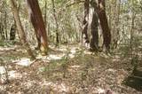 800 Suzy Q Rd - Photo 7