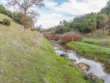 14000 Cub Trail - Photo 9