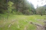 6269 Dutch Creek Rd - Photo 13