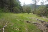 6269 Dutch Creek Rd - Photo 14